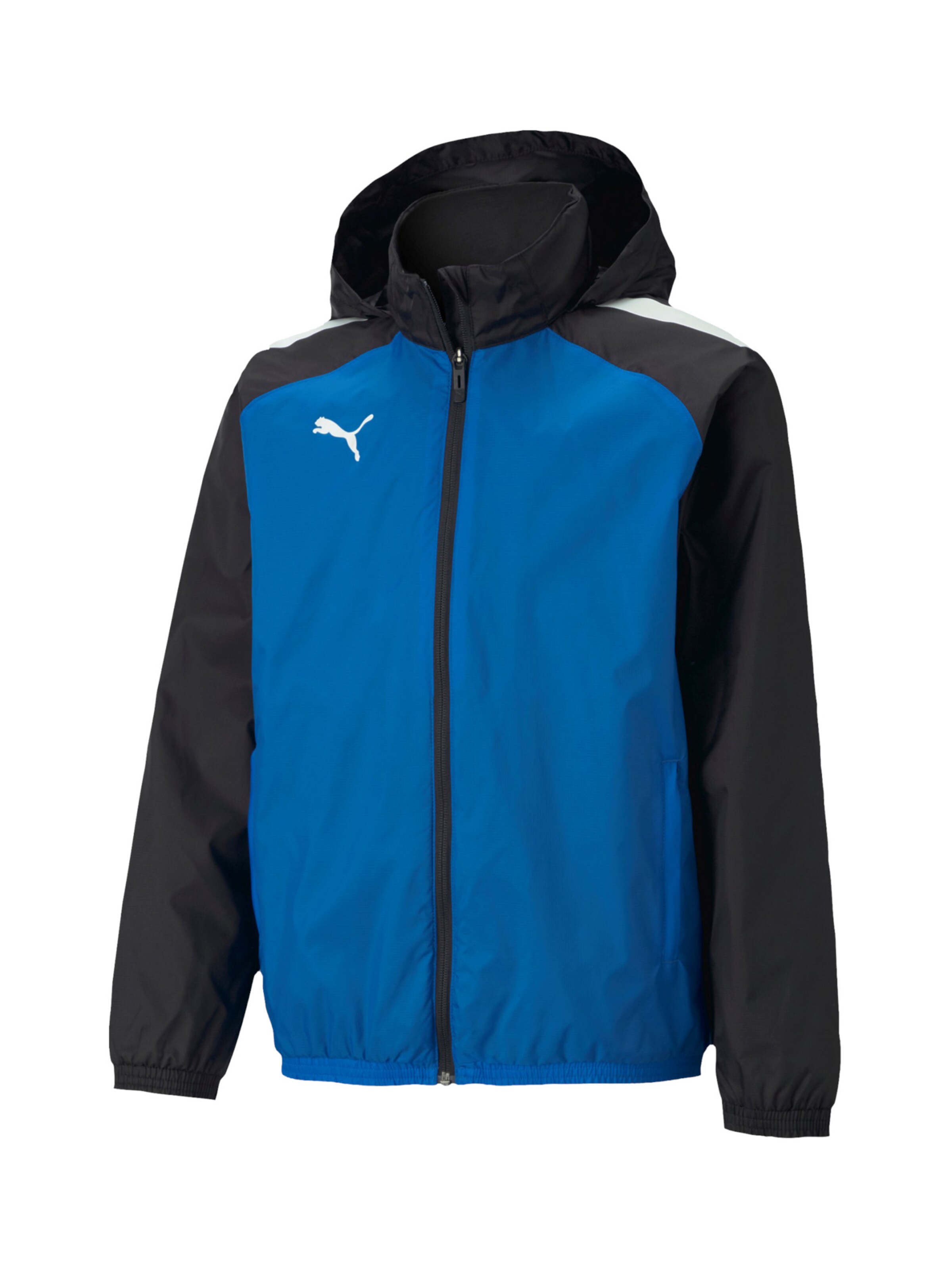 PUMA Athletic Jacket 'TeamLiga' in Blue: front