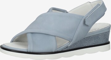 HASSIA Sandals in Blue: front