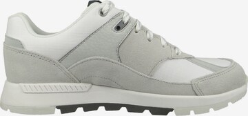 TIMBERLAND Sneakers in Grey