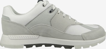 TIMBERLAND Sneaker in Grau