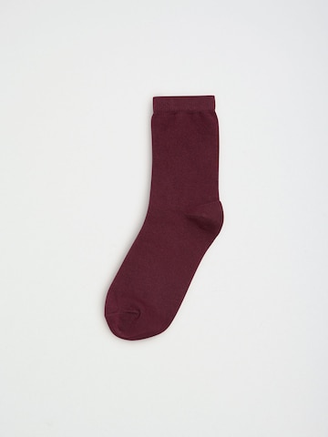 love & roses Sockor i lila