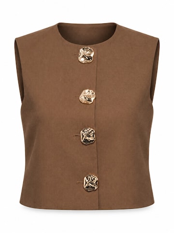 Gilet Ombre en marron : devant