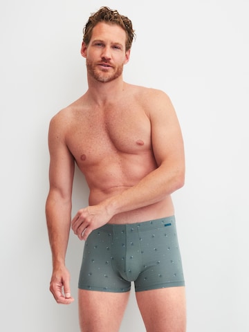 CALIDA Boxer shorts 'Grafic Cotton' in Grey