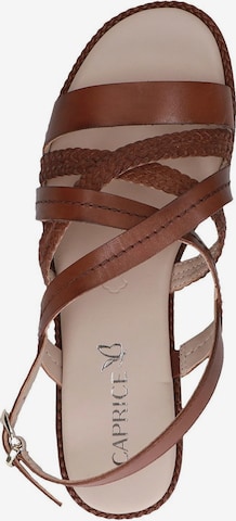 CAPRICE Sandalen met riem in Bruin