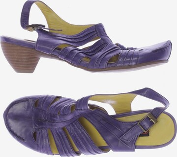 Everybody Sandals & High-Heeled Sandals in 37 in Purple: front