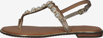 GEOX T-Bar Sandals in Gold