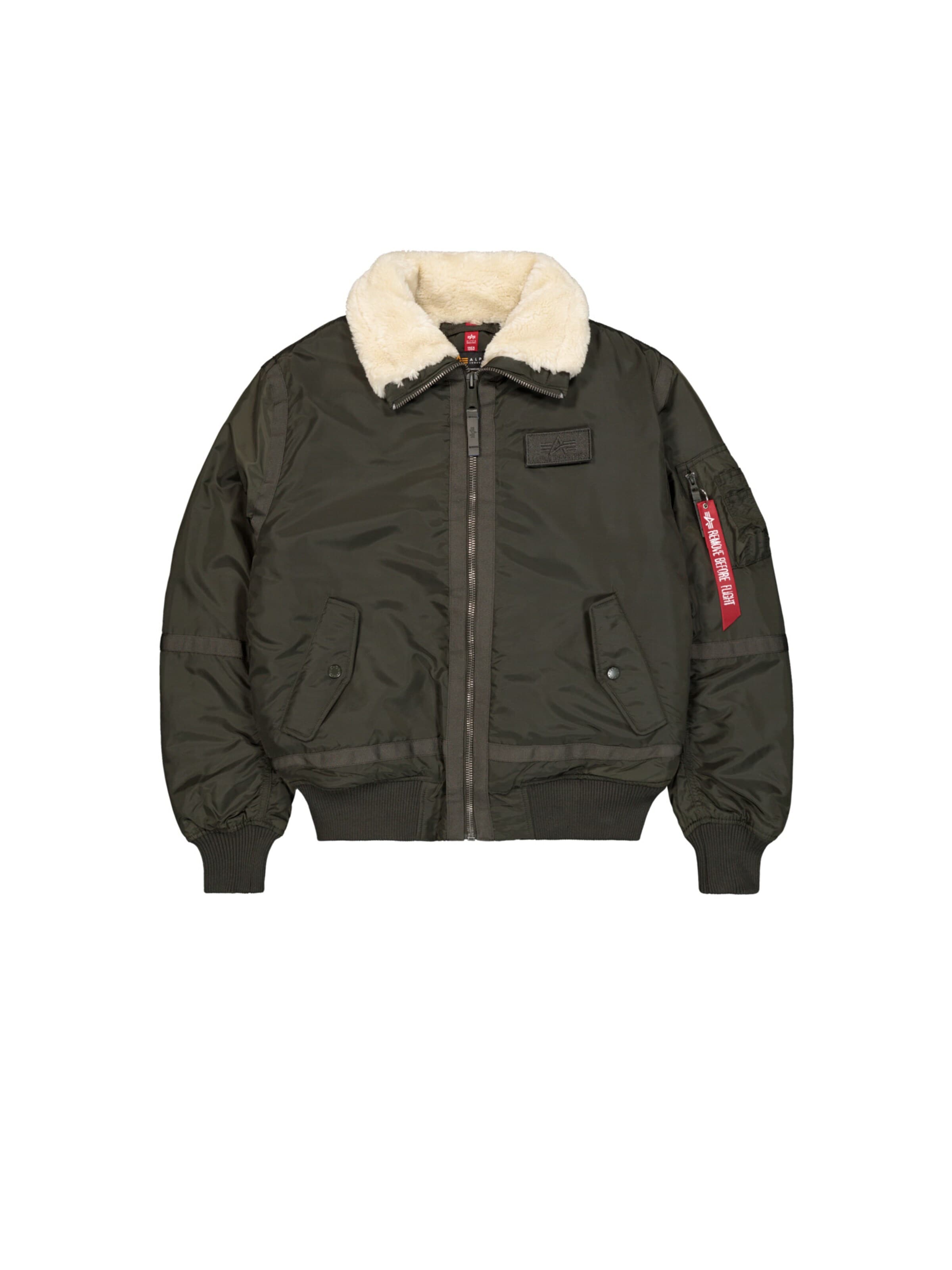 ALPHA INDUSTRIES Winter Jacket 'B15-3 TT' in Grey: front