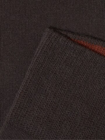 Von Jungfeld Socks 'Herbstfarben' in Brown