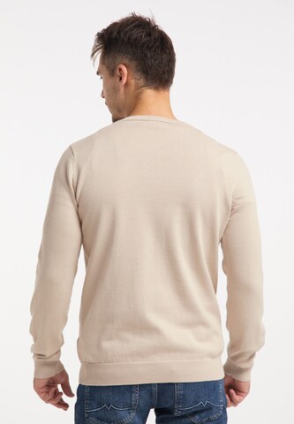 RAIDO Pullover in Beige