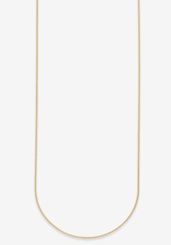 BRUNO BANANI Kette in Gold