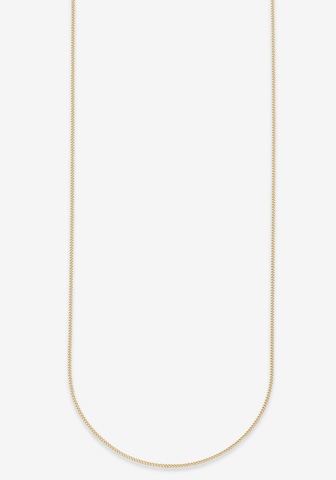 BRUNO BANANI Necklace in Gold