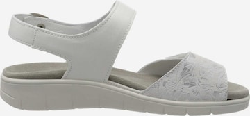 SEMLER Sandals in White