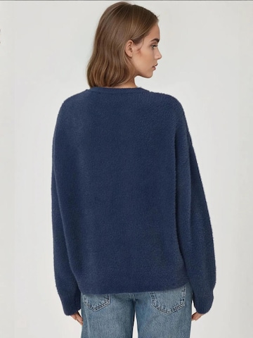 Pullover di Hiccup in blu