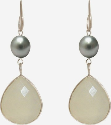 Gemshine Earrings in Silver: front