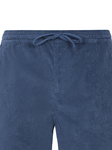 PROTEST Pants 'PRTUleyo' in Blue: front