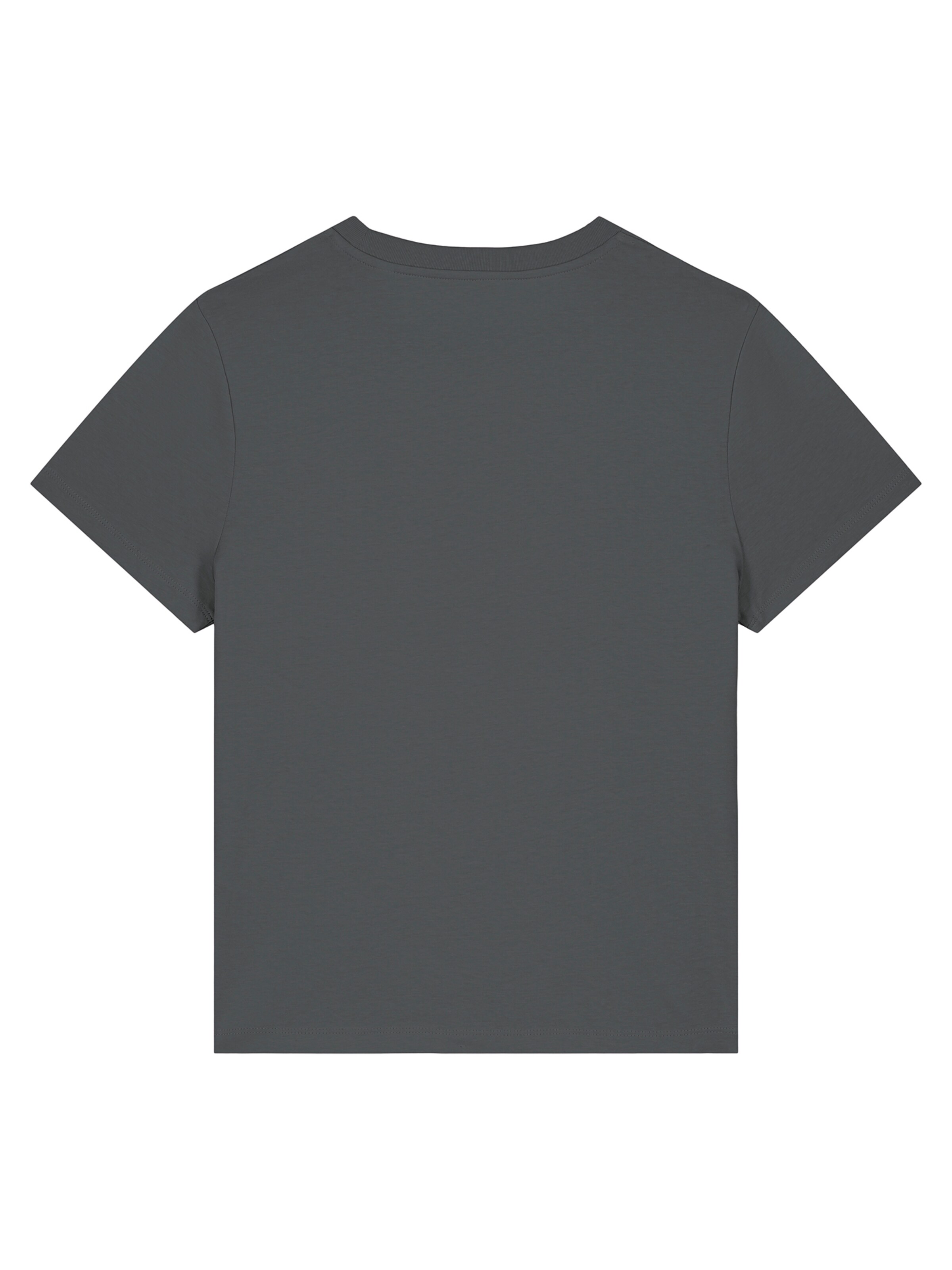 Maglietta 'Herbst' di Watapparel in grigio