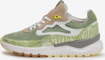Sneaker bassa 'Treni 01' di Floris van Bommel in verde: frontale