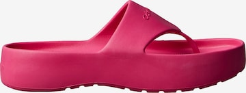 Tongs 'Dorita' Calvin Klein en rose : devant