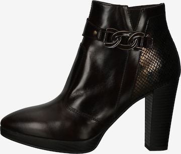 Nero Giardini Booties in Brown