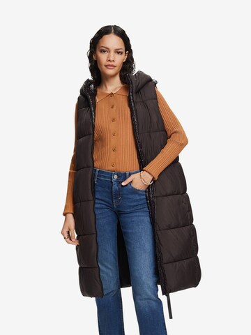 ESPRIT Bodywarmer in Zwart: voorkant