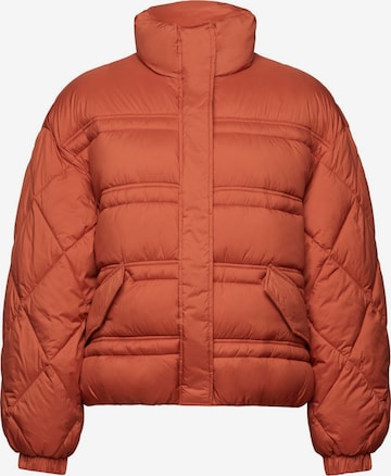 ESPRIT Winter Jacket in Brown: front