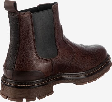 BULLBOXER Chelsea Boots in Brown