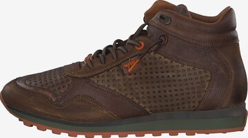 Cetti Sneakers hoog in Bruin