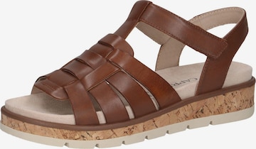 CAPRICE Strap Sandals in Brown: front
