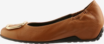 Högl Ballet Flats 'NIKI' in Brown: front