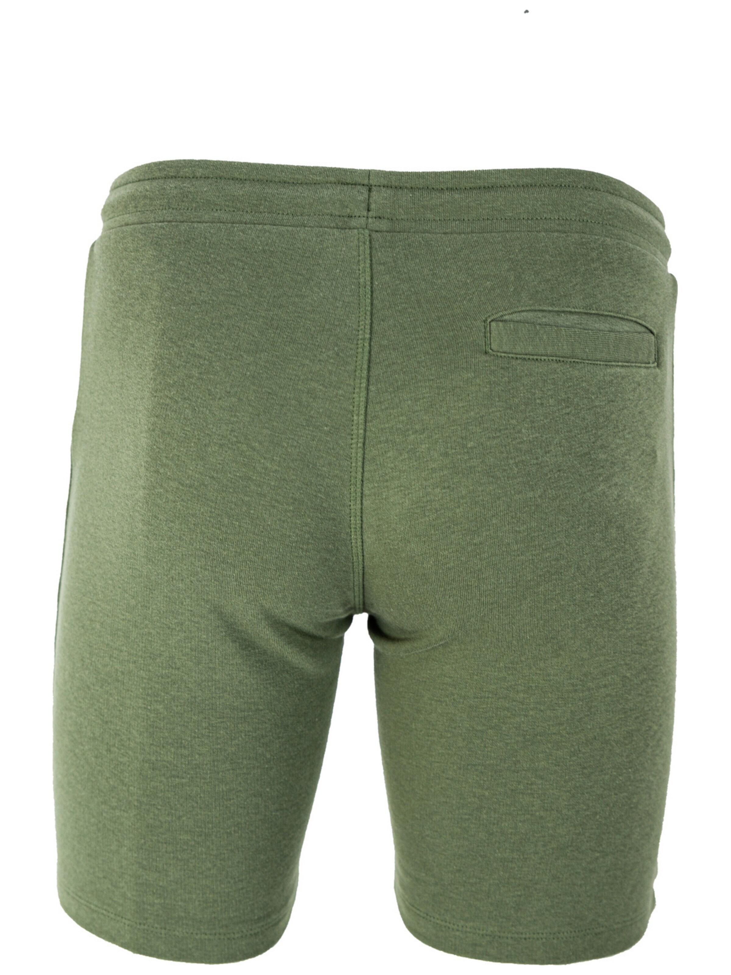 regular Pantaloni sportivi 'O'Neill Lb All Year Round' di O'NEILL in verde