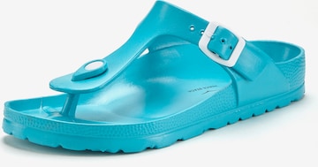Tongs VENICE BEACH en bleu : devant
