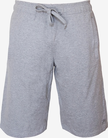 Jaya Regular Workout Pants 'Miguel' in Grey: front