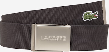 LACOSTE Gürtel in Grau: predná strana