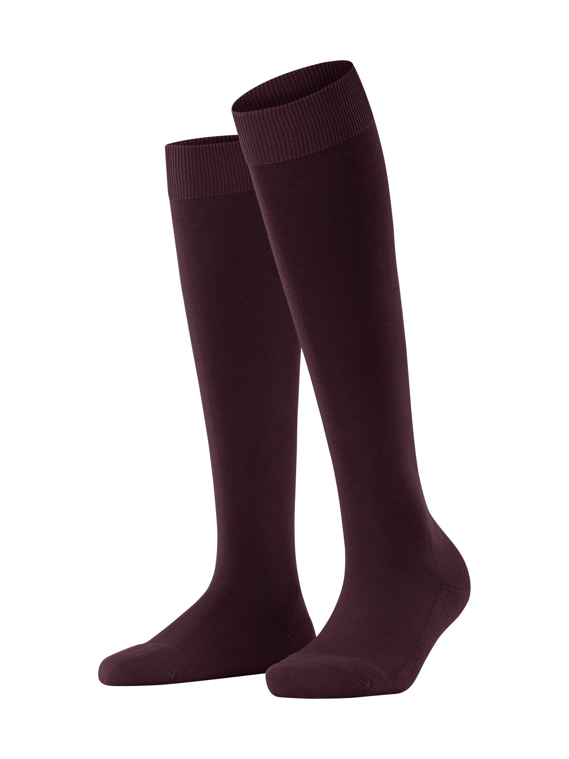 FALKE Kniestrümpfe 'ClimaWool'‌‌‌‌‌‌‌‌‌ in Rot: Vorderseite