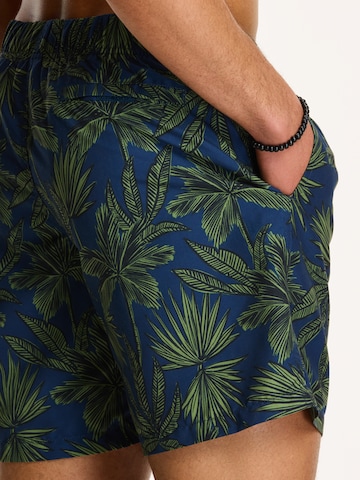 Shiwi Board Shorts in Blue