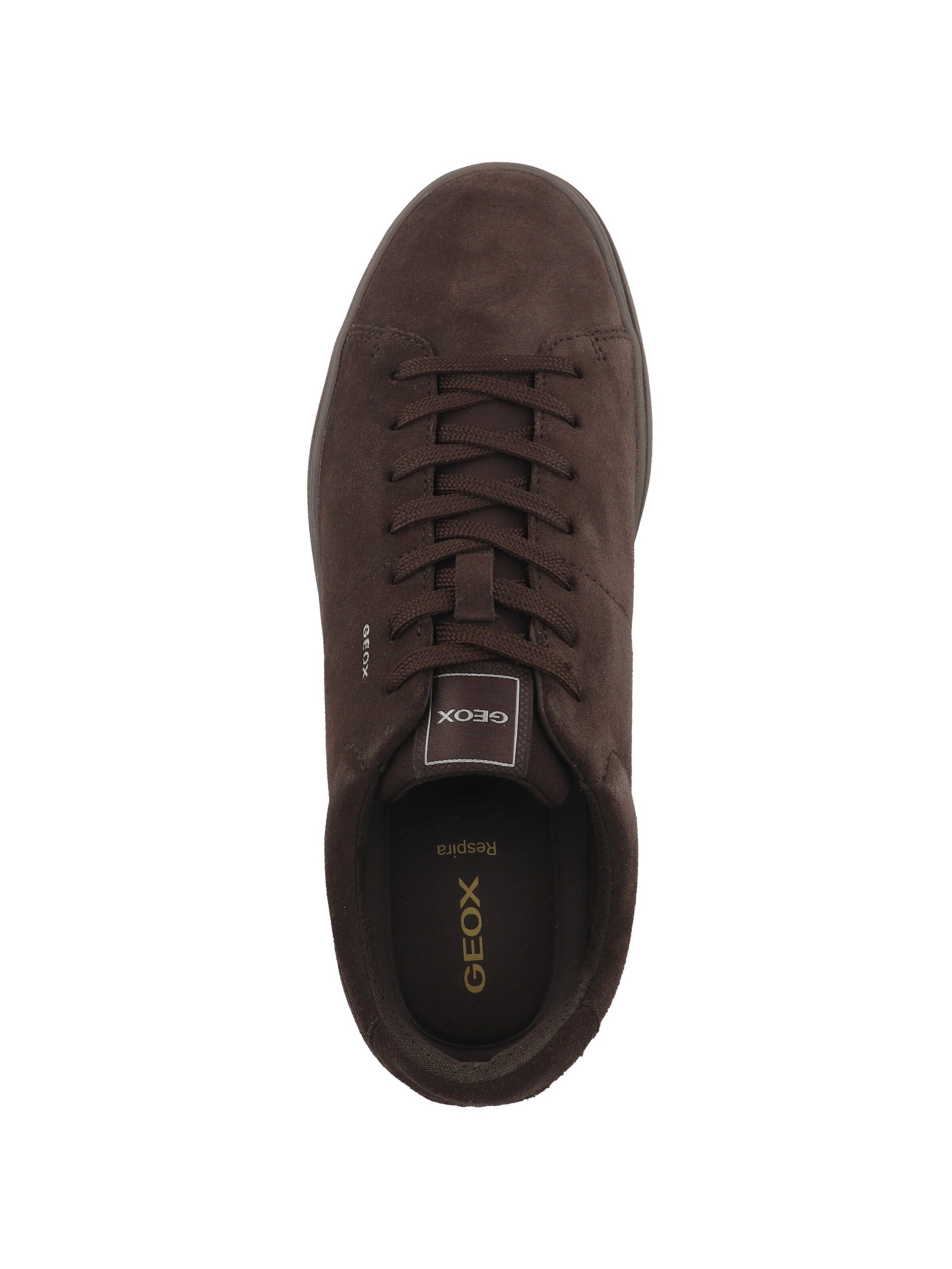 Baskets basses 'U Baltmoore' GEOX en marron