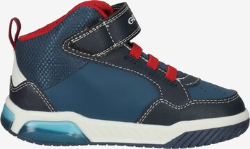 GEOX Sneakers in Blue