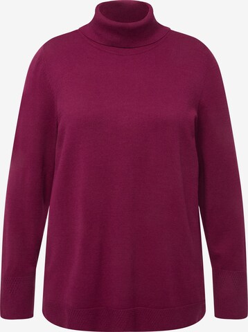 Ulla Popken Sweater in Purple: front