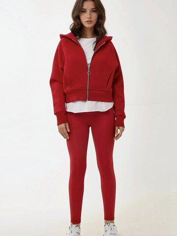 Sweat-shirt 'Kapuzenpullover' Hiccup en rouge
