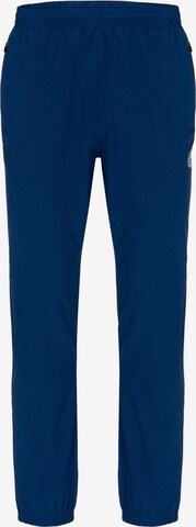 BIDI BADU Regular Workout Pants 'Alvi' in Blue: front