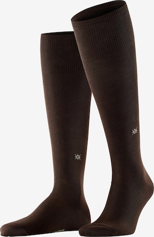BURLINGTON Knee High Socks 'Dublin' in Brown: front