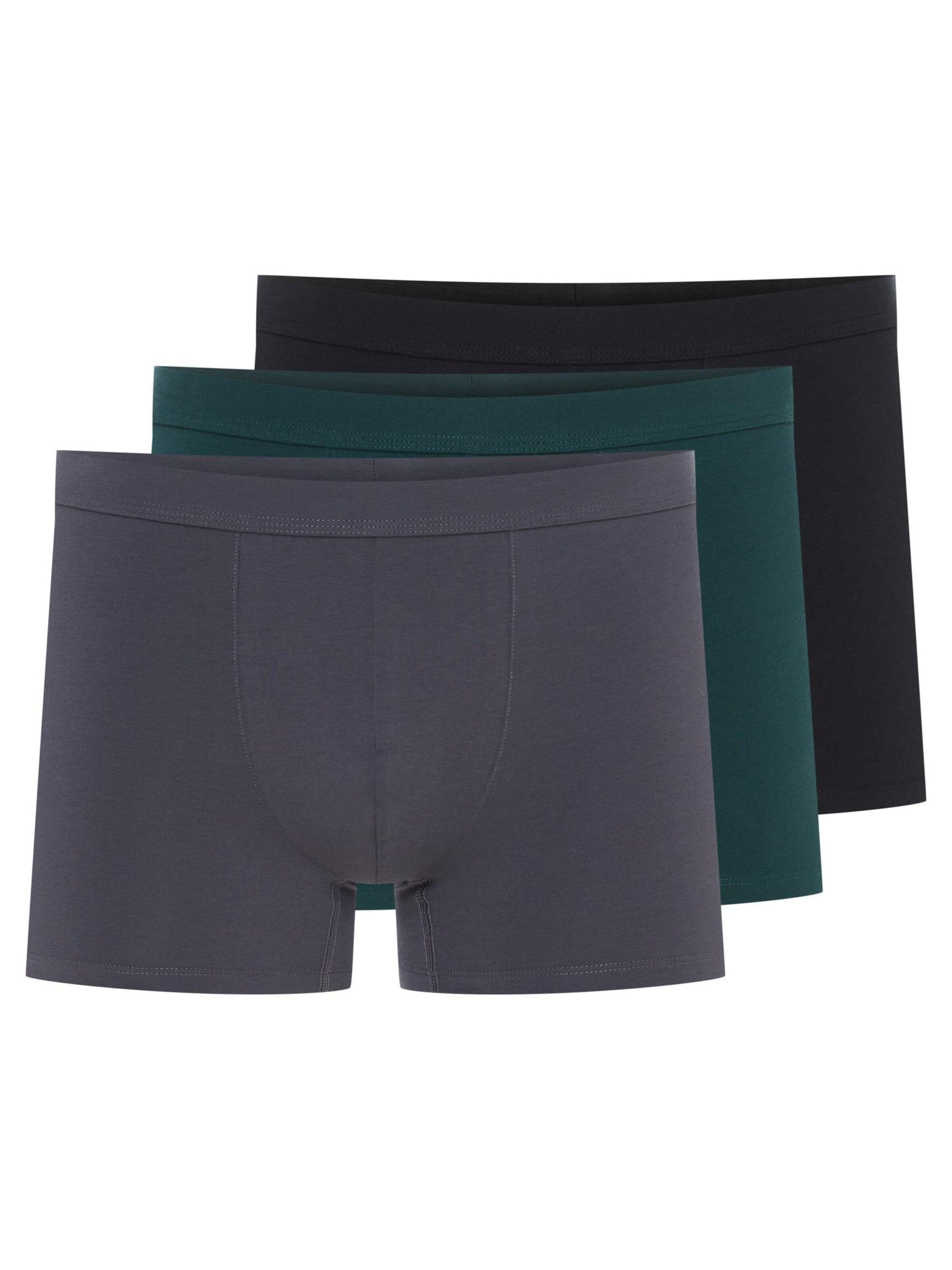 ESOTIQ Boxershorts 'Boxershorts Doppelpack aus Baumwolle Mix Atmungsaktiv bequem Aegis' in Gemengde kleuren: voorkant