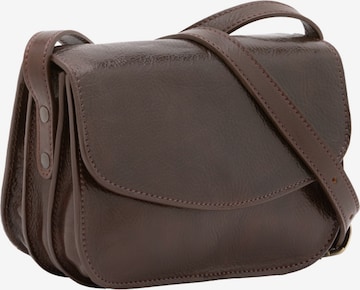 Viola Castellani Crossbody Bag in Brown: front