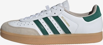 ADIDAS PERFORMANCE - Calzado deportivo 'Velosamba' en blanco: frente