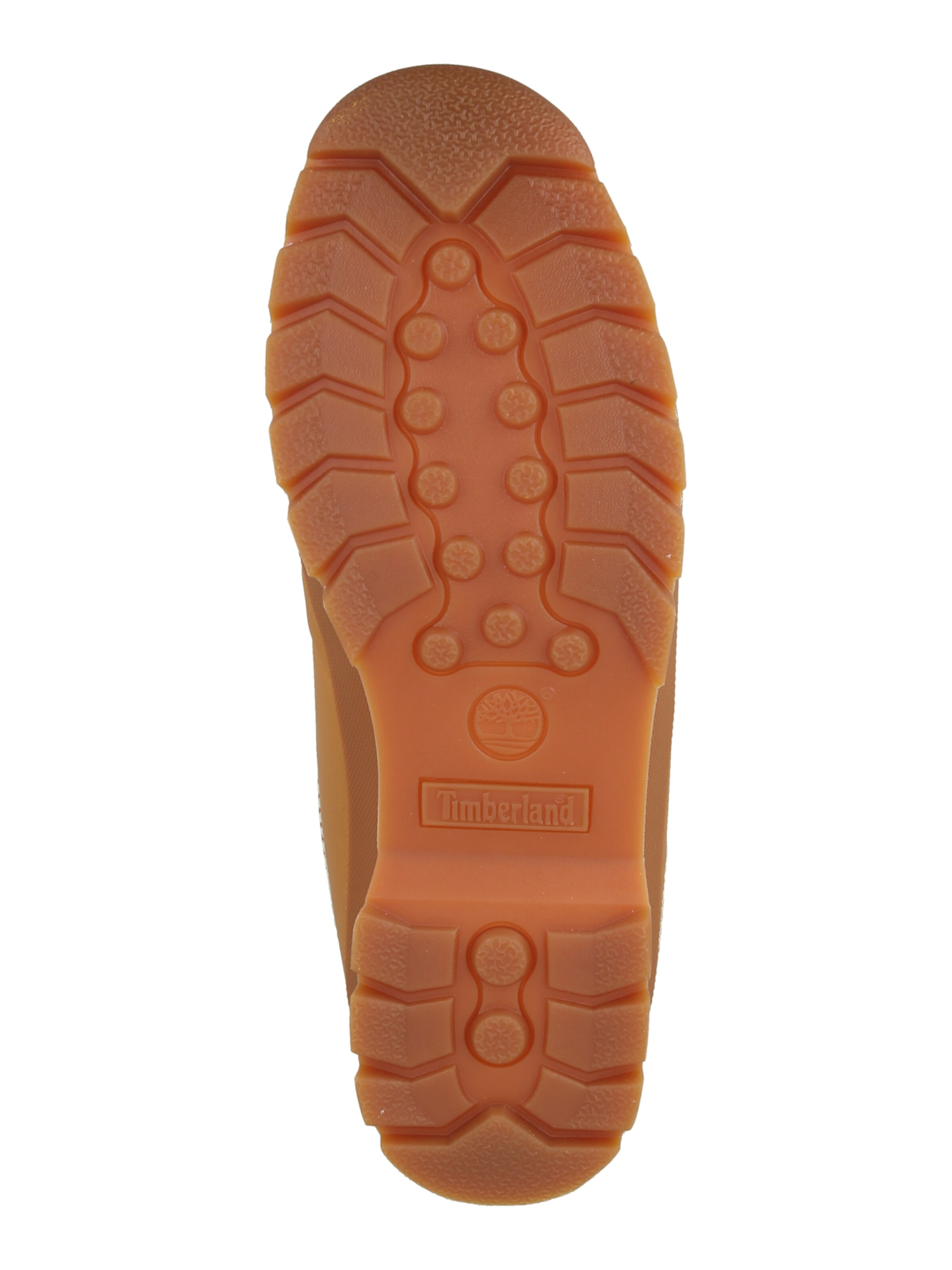 Chaussure de sport à lacets TIMBERLAND en marron