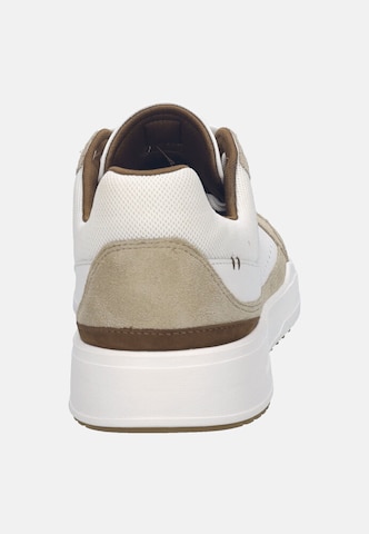 JOSEF SEIBEL Sneaker Donovan 06 in Beige