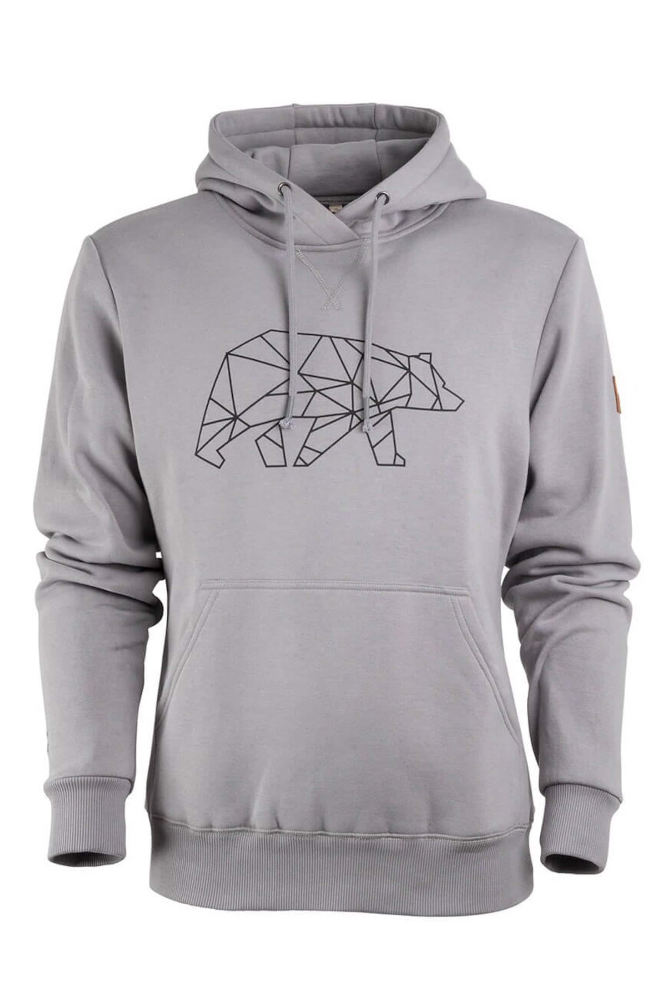 FORSBERG Sweatshirt ' Pettarson 793991' in Grey: front