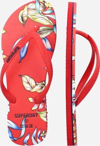 Superdry T-Bar Sandals in Red