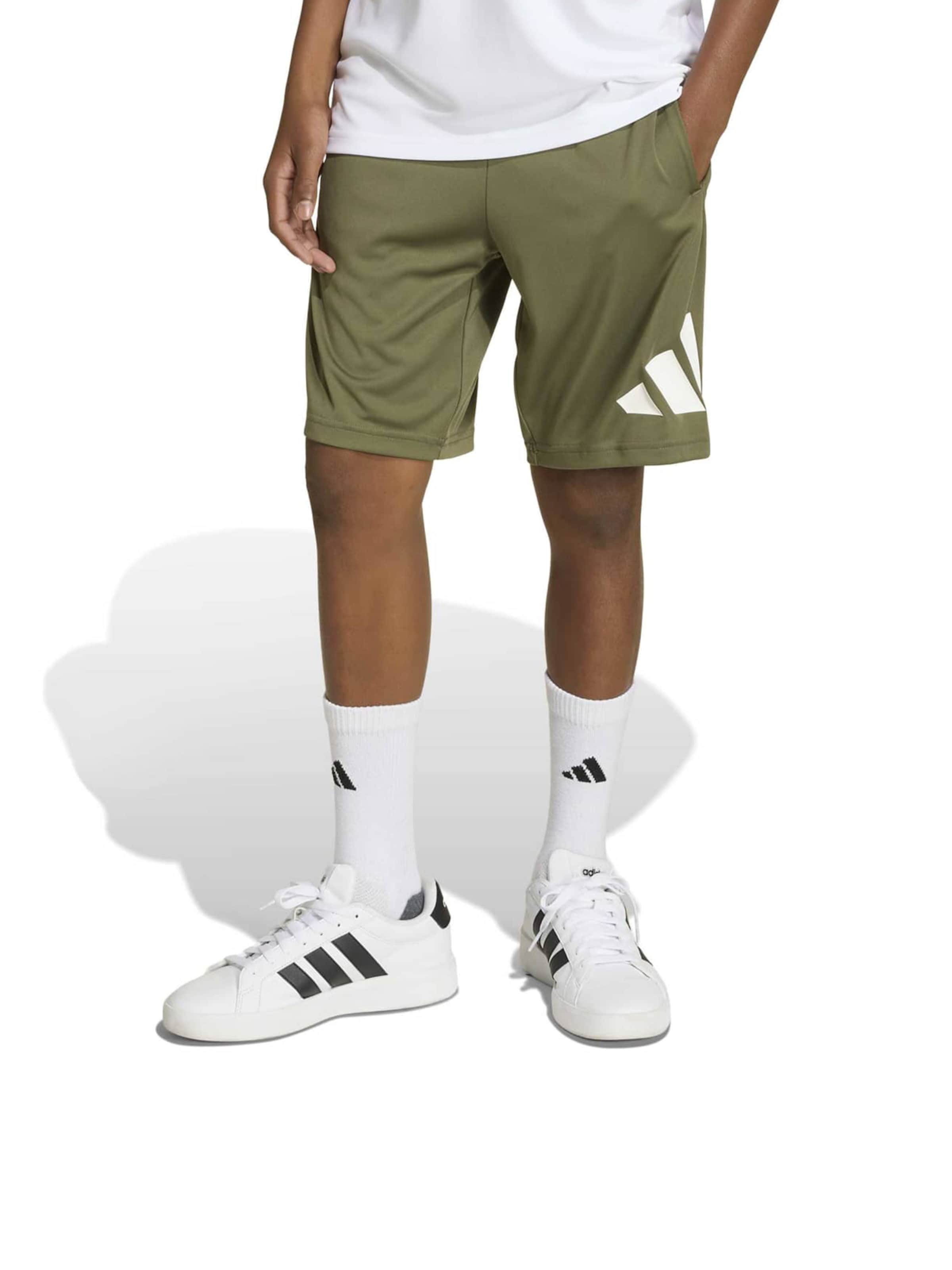 Regular Pantalon de sport 'TR-ES' ADIDAS SPORTSWEAR en vert : devant
