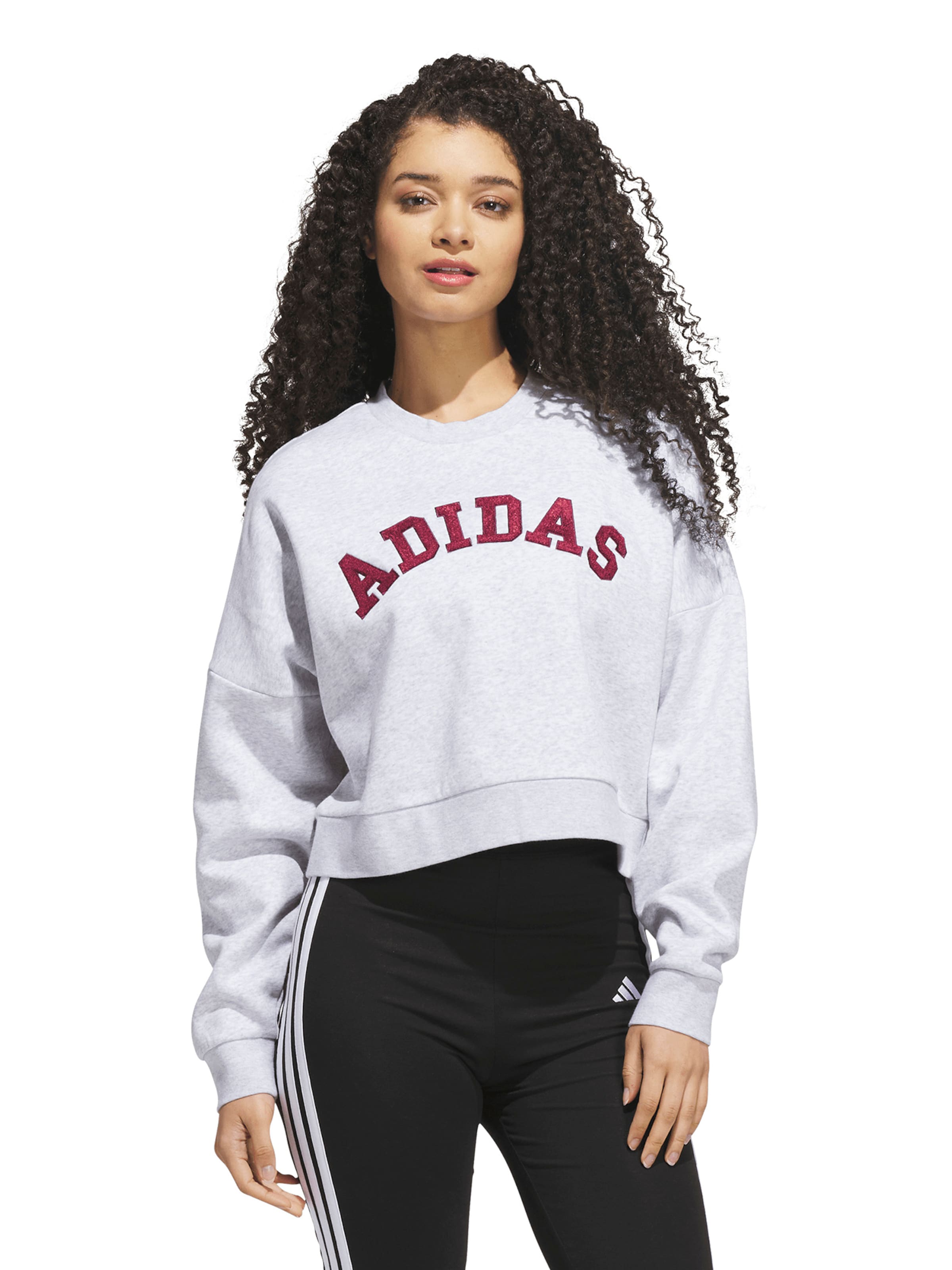 Sweat de sport 'Holiday' ADIDAS SPORTSWEAR en gris : devant
